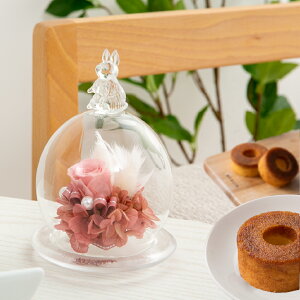 vU[uht[ XC[c Mtg KXh[ ~j yVVp XC[cZbgz F a  G 킢 e   JXj j ސEj Əj N