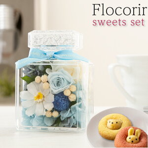 vU[uht[ XC[c Mtg ytR[ XC[cZbgz F av[g e FB ޏ   c E  NLOi LO j ސEj JXj 