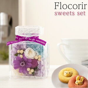 vU[uht[ XC[c Mtg ytR[ XC[cZbgz F av[g e FB ޏ   c E  NLOi LO j ސEj JXj 