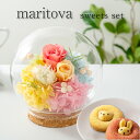 プリザーブドフラワー スイーツ ギフト ガラスドーム 【マリートヴァ スイーツセット】 誕生日プレゼント 母親 女友達 妻 両親 メッセージカード お祝い 退職 卒業 出産 新築 プレゼント 結婚祝い 記念日 周年記念 結婚記念日 お菓子 母の日 花