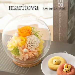 vU[uht[ XC[c Mtg KXh[ y}[g@XC[cZbgz F a e FB ޏ   c E  җj j ސEj JXj j 