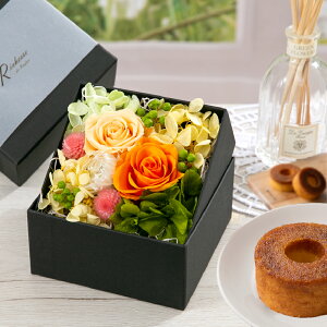 vU[uht[ XC[c Mtg {bNX y|g XC[cZbgz F a e   c  җj Ď Ê  j ސEj JXj LO j A