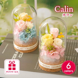プリザーブドフラワー ギフト ガラスドーム 【カラン】 誕生日プレゼント 母親 女友達 妻 両親 誕生日 メッセージカード サプライズ お祝い 20代 女性 記念日 周年記念 結婚記念日 退職祝い 卒業 卒団 出産 フラワーアレンジメント 母の日 花