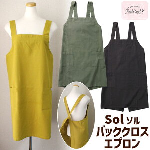 Gv Ԃ邾 obNNX \ Sol Habituel Ar`A  킢 fB[X Ԃ邾 Ch   n ۈm Vv [։