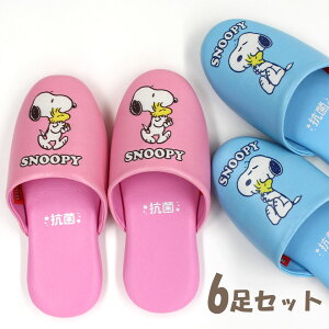 q Xbp Xk[s[ 6Zbg FIׂ܂ 18cm܂őΉ R rj[f LN^[ gC y