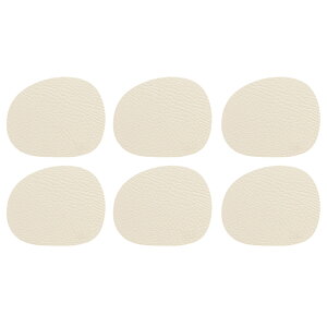 TCNU[ R[X^[ 6 12.2×10cm aida AC[_ RAW k 