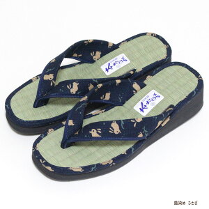 T_ Xbp Jv\ ͂Ȃa 4  fB[X M L LLTCY WjA ėp @    niI EOp^Cv {