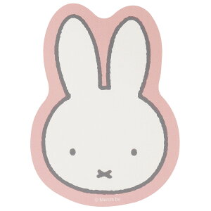 ~btB[@ ANZg}bg PVC t[X^C}bg