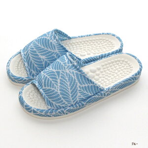 Xbp S.D.S wX[tFC M L 2TCY 􂦂 c{ NXbp NT_ fB[X Y y   EHbVu u[ O[