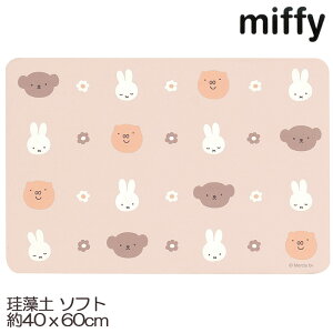 ~btB[ ]y \tg oX}bg tFCXACR 40×60