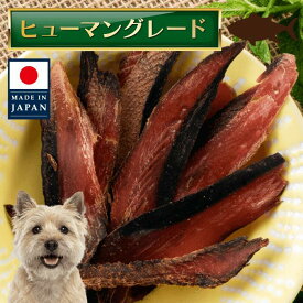 【旨みギューっと詰まった本鰹節ジャーキー】本鰹節ジャーキー【犬 かつお 鰹節 ジャーキー 国産 小型犬 猫】