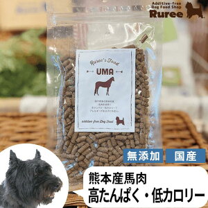 Y Ruree's FoodyUMAz hbOt[h n Y N ͂ ʐH Ruree [ 