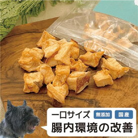 国産 コロコロふじりんご 25g 無添加 果物 ワンちゃん おやつ Ruree ルリー 185118515