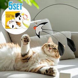【10%OFFクーポンあり】5点セット 猫じゃらし 交換用ヘッド5種付き 猫用おもちゃ 羽・鳥・虫・リボン付き 釣竿 運動不足解消 ストレス発散
