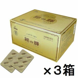 yz鸂̋P@×3Zbg@{12iir[LڂŁjyzsA͂t