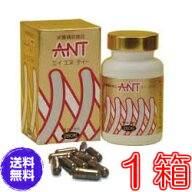 【送料無料】エイエヌティ（ANT）《ミネラル、蟻、ふしぶし、アリ加工食品、エイ・エヌ・ティー、人気マ…
