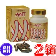 【送料無料】エイエヌティ（ANT）　×お得2箱セット【代引料無料】《ミネラル、蟻、ふしぶし、アリ加工食…