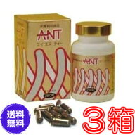 【送料無料】エイエヌティ（ANT）　×お得3箱セット《ミネラル、蟻、ふしぶし、アリ加工食品、エイ・エヌ…