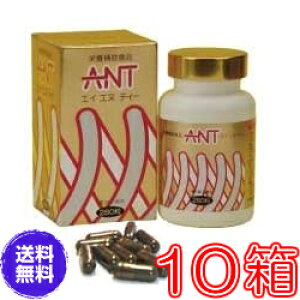 yzGCGkeBiANTj@×10Zbg@yzs~lAaAӂԂAAHHiAGCEGkEeB[AlC}KƂ̗qq搶Npt