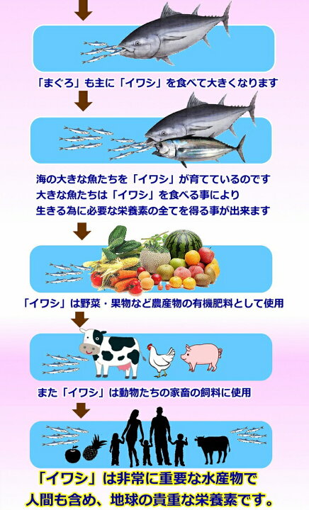 楽天市場】【送料無料】核酸Cゴールド＆スーパーSP100 60包 ※数量 