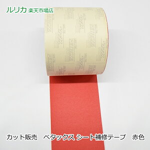 y^bNX V[gCe[v  ԐF bh 14cm Jbg̔