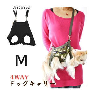 30Ԗۏ؁I14ʂ̎gIpL[IRƂ pV[gxgƂ [hƂ mƂ n[lXƂĂI