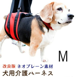 30���Ԗ����ۏ؁I���q�l�̐��Əb�コ��̈ӌ����琶�܂�܂����I�y�E�I�[�N���z ���s�⏕ �g�C���̕⏕�� �����̎キ�Ȃ����V���� ���p ���n�[�l�X �l�I�v���[���f�� (2016 ���ǔ� ruru-p