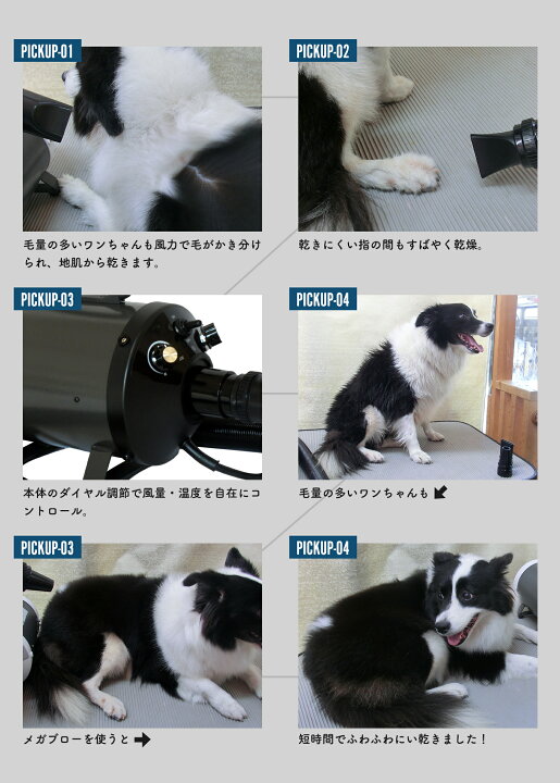 楽天市場】プロ愛用!30日間満足保証！≪メガブローを超える風力 