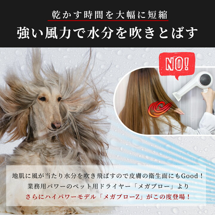 楽天市場】プロ愛用!30日間満足保証！≪メガブローを超える風力 