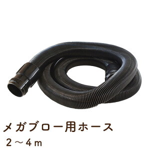 30Ԗۏ؁IKu[pOz[X(2`4m)