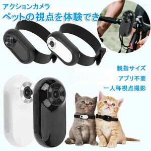 ANVJ ^ | y X|[cJ RpNg ewTCY J 4K ׃fBXvC Ԃ␳ ^ ^ A^b`g Γ LpY ʐ^ rfI 