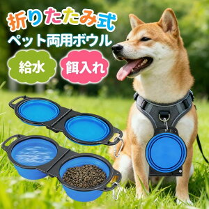 ybgt[h{E ܂肽ݎ xb LpH pH t[h{E EH[^[{E 2in1^Cv Lp юM LM aM ё a ^pH ̌^fUC rit yb