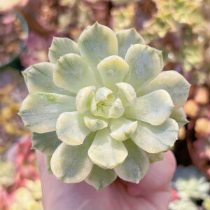 A N[x[ V _ ϗtA CeA O[ GPxA Z_ AGI