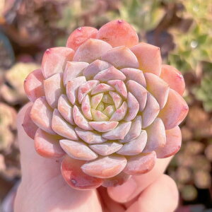 A G[ V _ ϗtA CeA O[ GPxA Z_ AGI