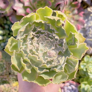 A _̕ ݌ɋ͏ V _ ϗtA CeA O[ GPxA Z_ AGI