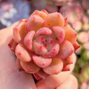 A bhCVy[ V _ ϗtA CeA O[ GPxA Z_ AGI