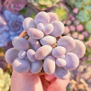 A BAWX`k(2`3) Q ݌ɋ͏ V _ ϗtA CeA O[ GPxA Z_ AGI