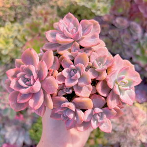 A `[h Q V _ ϗtA CeA O[ GPxA Z_ AGI