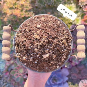 A 1bgpy SҌ _ ϗtA | CeA O[ GPxA Z_ AGI