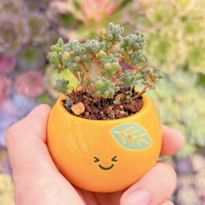 A  V _ ϗtA CeA O[ GPxA Z_ AGI