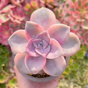 A p[vfBCg c V _ ϗtA CeA O[ GPxA Z_ AGI