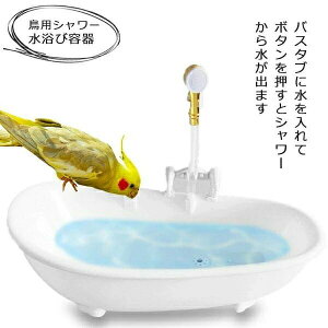 dV[t oX^u p V o[hoX  уP[X їe CR   pV[ C^