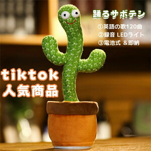 xT{e  _XT{e hT{e ʔ 킢 ΂ FB v[g q   p  ΂  xT{e ̂ ^  xT{e 