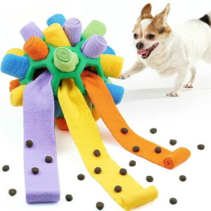 LplCmߋ H΍ ʂ݌p ybga koP   ^s IQ  Hh~