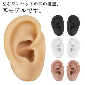 ݂ tFCN ̖͌^  f CO p K fBXvC A  VRyEZbgzsAX  wp