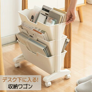 �������[ �L���X�^�[�t�� �}�K�W�����b�N ���[���S�� �f�X�N��