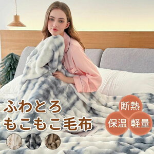 2 掛け毛布 ひざ掛け ふわもこ ハーフ ダブル セミダブル シングル ふわふわ もこもこ 毛布ブランケット ふわとろ ふわとろ毛布
