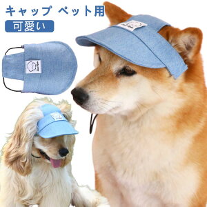 Lbv Xq hbOEFA pi Xq  Xq Xq JCC 悯 gCv[h  蕨 O