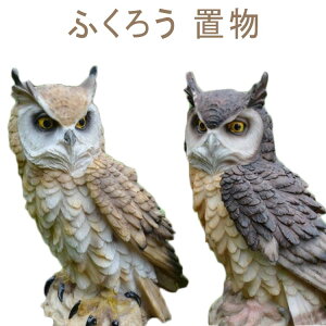 I[i   hhb΍ O h 悯ObY IuWF u ӂ낤 fBXvC  N 悯 K[fjO