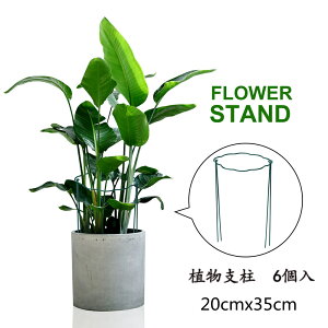Ԃ Ax 20cmx35cm Ԏx K[fjOpx _Ɨp ϗtxpbNK[ |p  鐫A